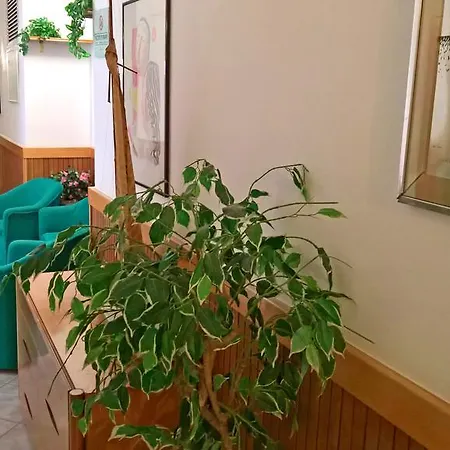 酒店 Golfo 福洛尼卡